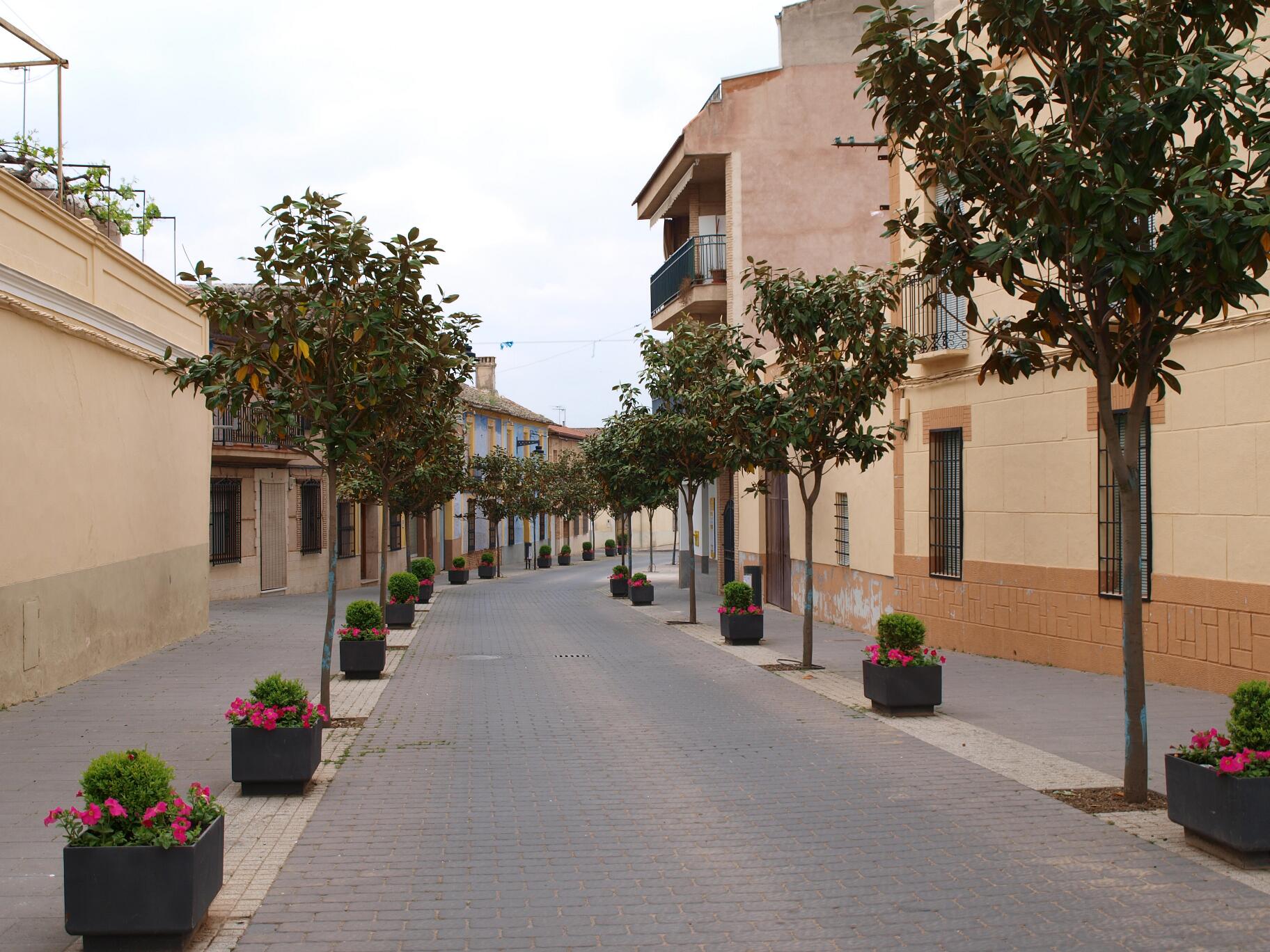 Calle Principal
